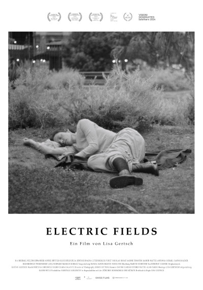 Electric Fields